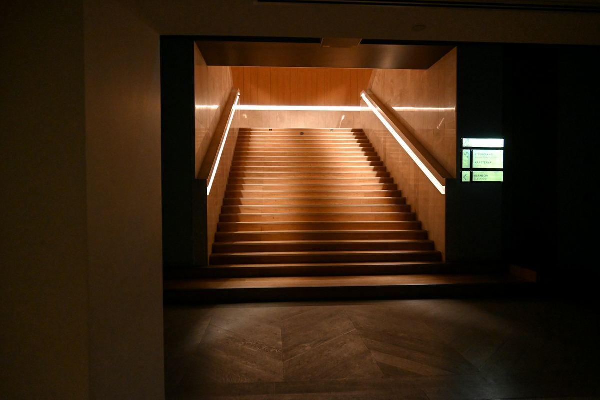 A warm wooden staircase illuminated by directional lighting